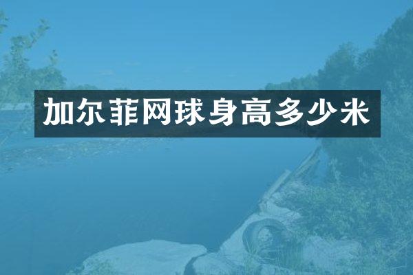 加尔菲网球身高多少米
