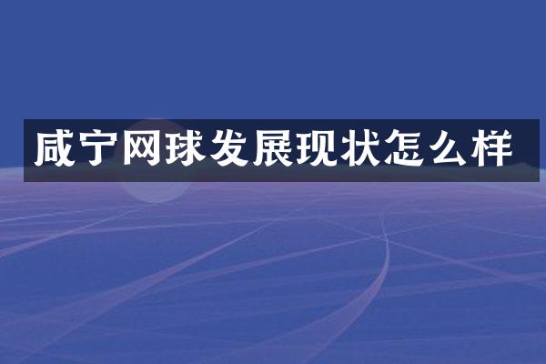 咸宁网球发展现状怎么样