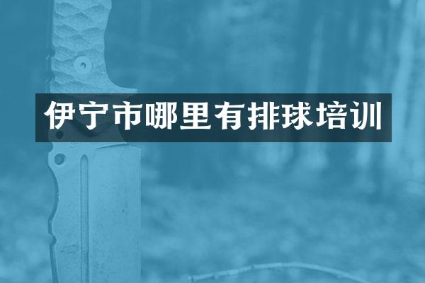 伊宁市哪里有排球培训
