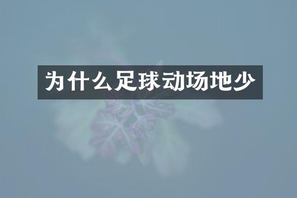 为什么足球动场地少