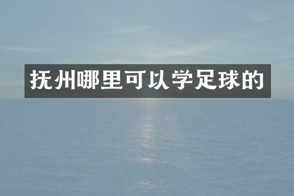 抚州哪里可以学足球的