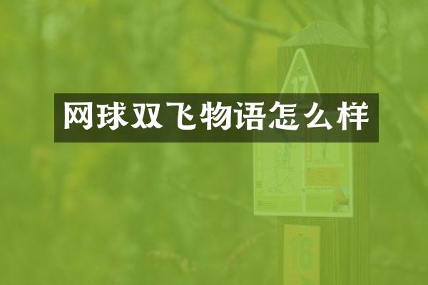 网球双飞物语怎么样