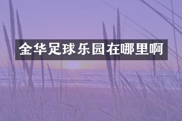 金华足球乐园在哪里啊