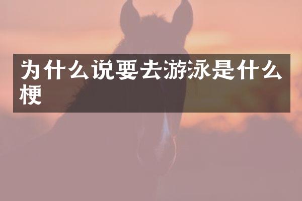 为什么说要去游泳是什么梗