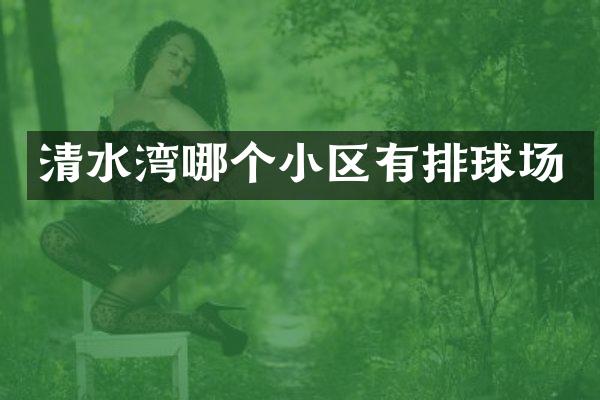 清水湾哪个小区有排球场