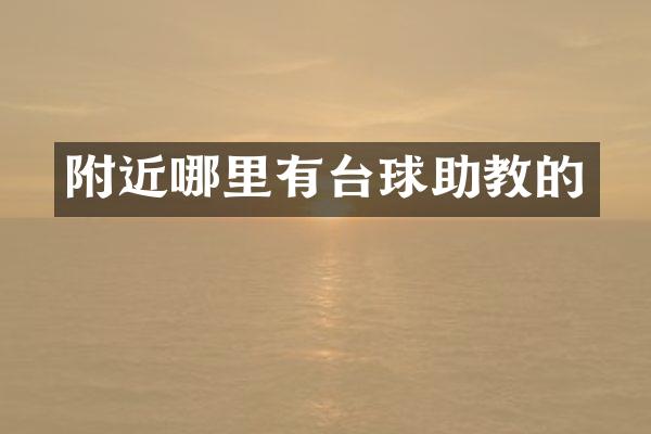 附近哪里有台球助教的