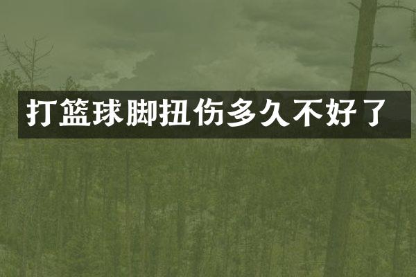 打篮球脚扭伤多久不好了