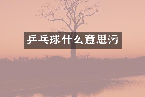 乒乓球什么意思污