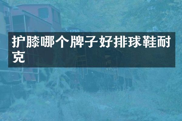 护膝哪个牌子好排球鞋耐克