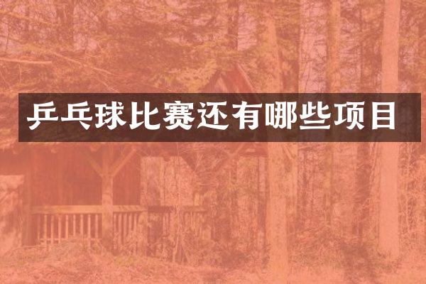 乒乓球比赛还有哪些项目