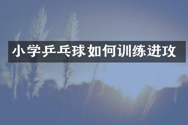小学乒乓球如何训练进攻