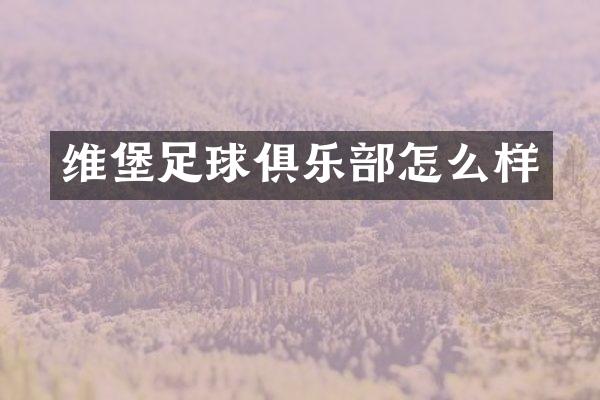 维堡足球俱乐部怎么样
