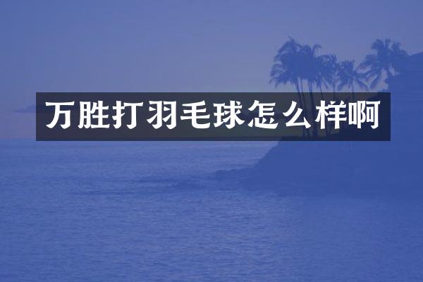 万胜打羽毛球怎么样啊