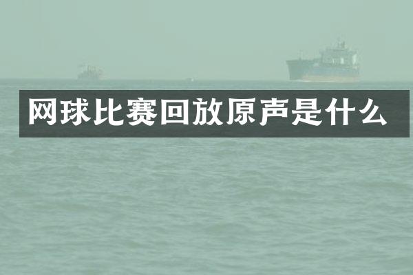 网球比赛回放原声是什么