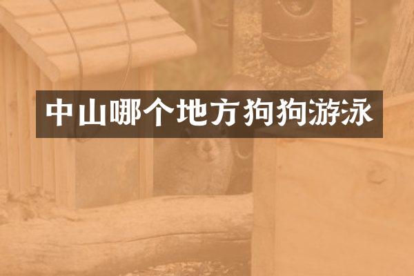 中山哪个地方狗狗游泳