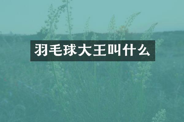 羽毛球大王叫什么
