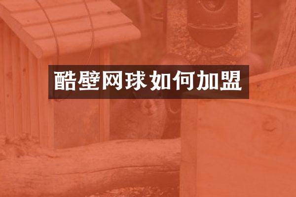 酷壁网球如何加盟