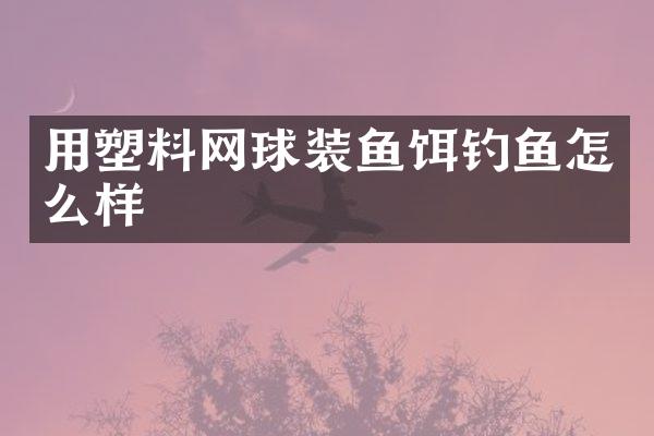 用塑料网球装鱼饵钓鱼怎么样