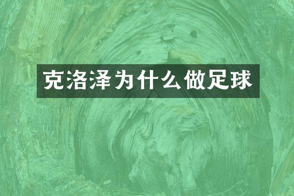 克洛泽为什么做足球