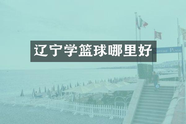 辽宁学篮球哪里好