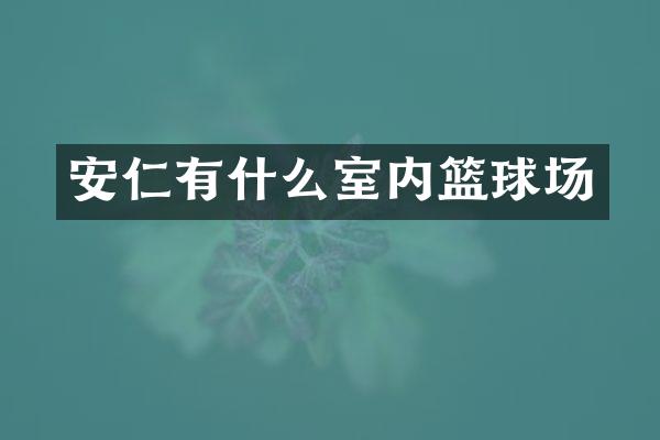 安仁有什么室内篮球场
