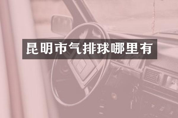 昆明市气排球哪里有