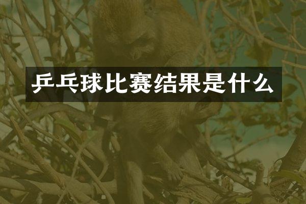 乒乓球比赛结果是什么