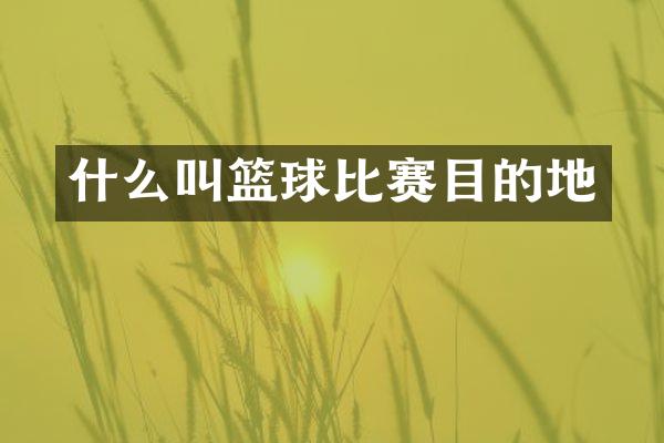 什么叫篮球比赛目的地