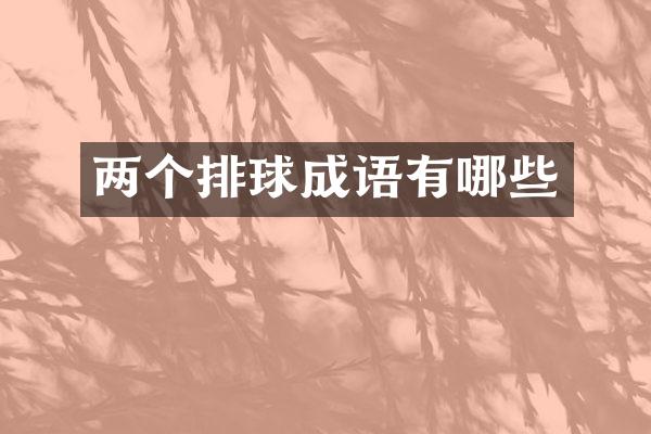 两个排球成语有哪些