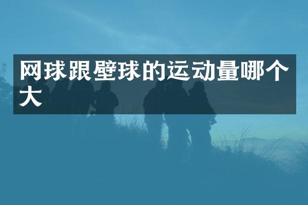 网球跟壁球的运动量哪个大