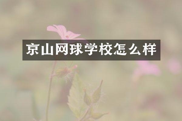 京山网球学校怎么样