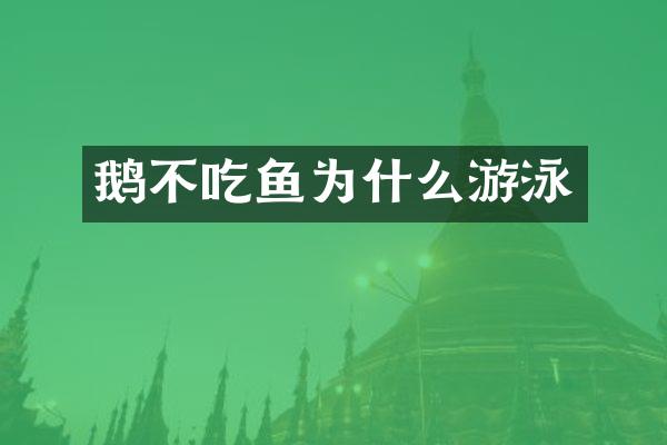 鹅不吃鱼为什么游泳
