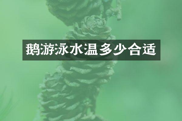 鹅游泳水温多少合适