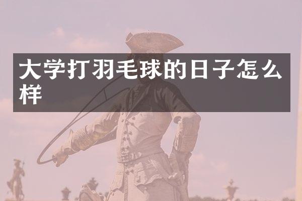 大学打羽毛球的日子怎么样