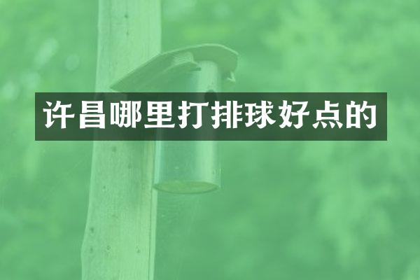 许昌哪里打排球好点的