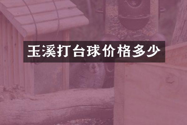 玉溪打台球价格多少