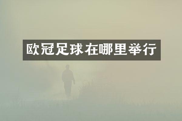 欧冠足球在哪里举行