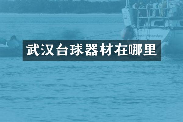 武汉台球器材在哪里