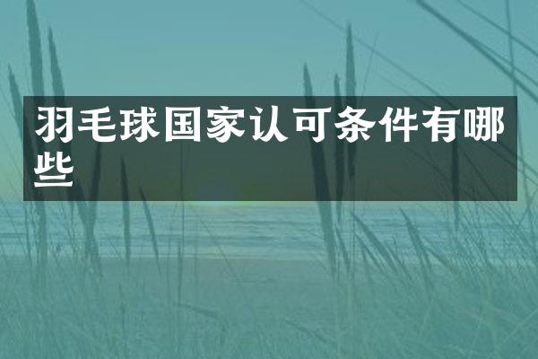 羽毛球国家认可条件有哪些