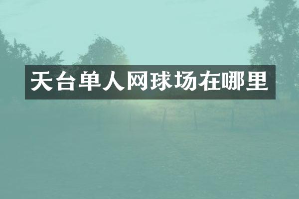 天台单人网球场在哪里