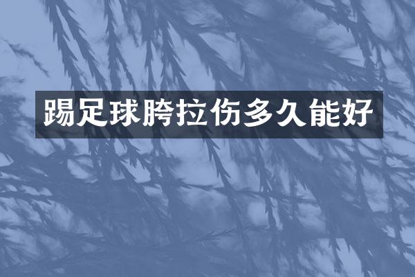 踢足球胯拉伤多久能好