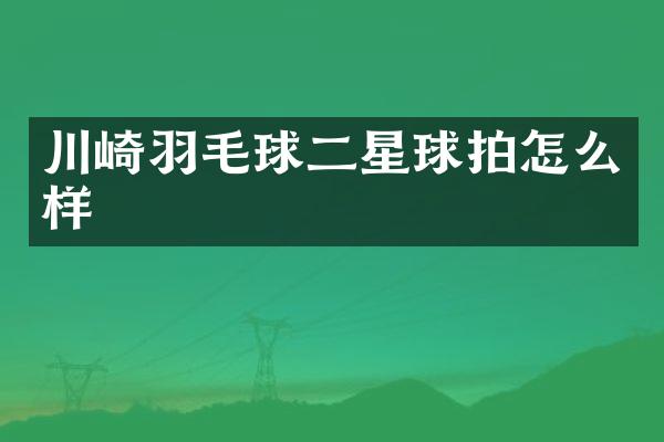 川崎羽毛球二星球拍怎么样