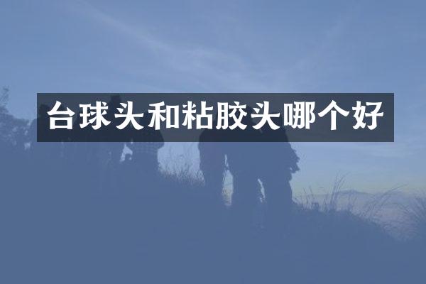 台球头和粘胶头哪个好