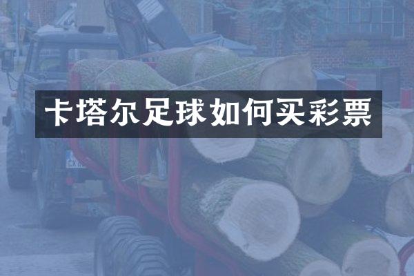卡塔尔足球如何买彩票