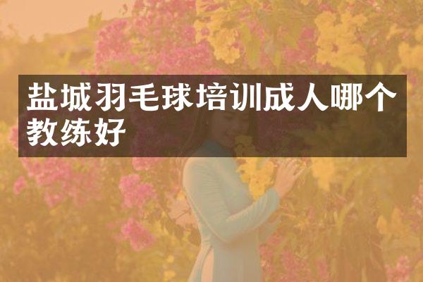 盐城羽毛球培训成人哪个教练好
