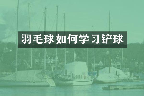 羽毛球如何学习铲球