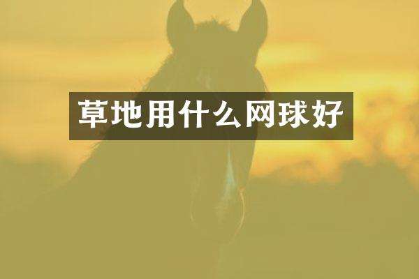 草地用什么网球好