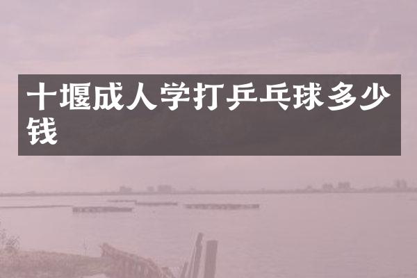 十堰成人学打乒乓球多少钱