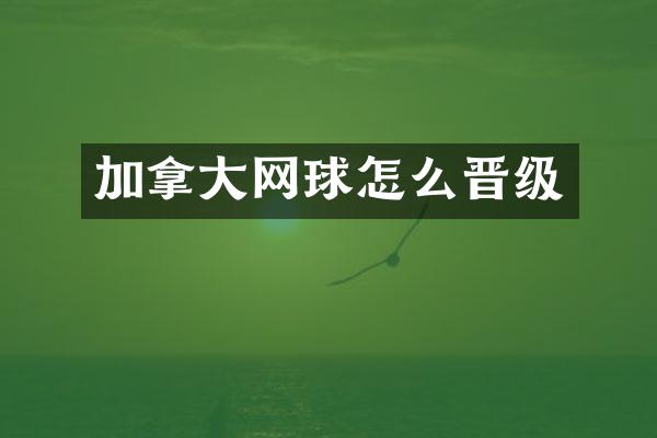 加拿大网球怎么晋级