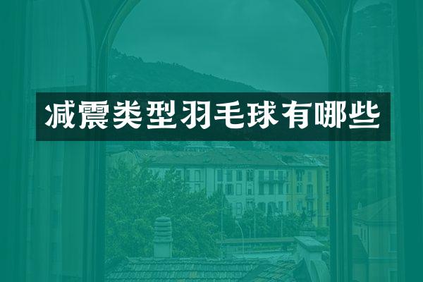 减震类型羽毛球有哪些